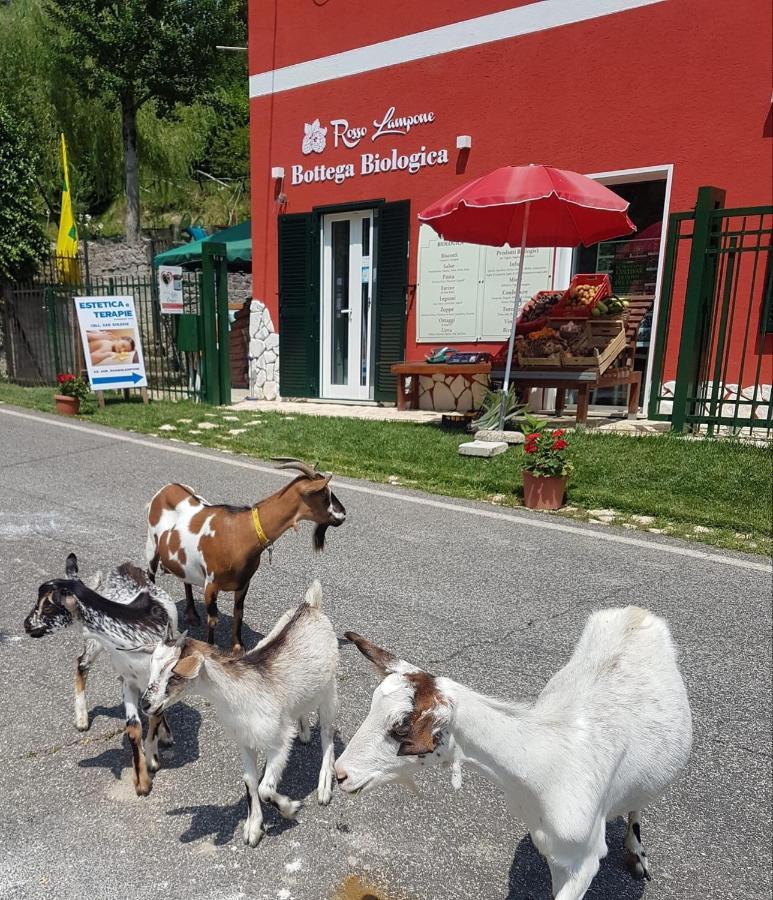 Agriturismo Rosso Lampone Cerreto Laziale Dış mekan fotoğraf