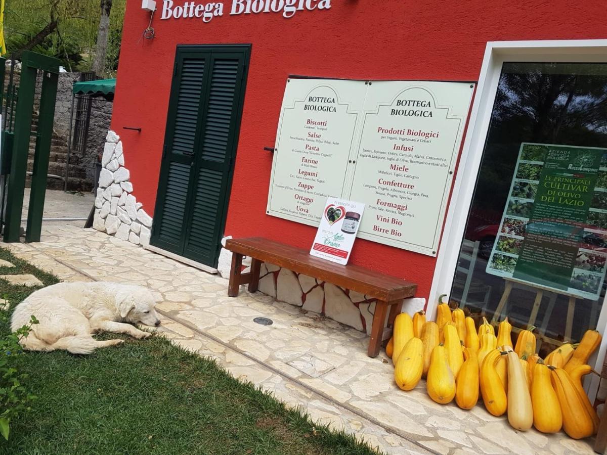 Agriturismo Rosso Lampone Cerreto Laziale Dış mekan fotoğraf