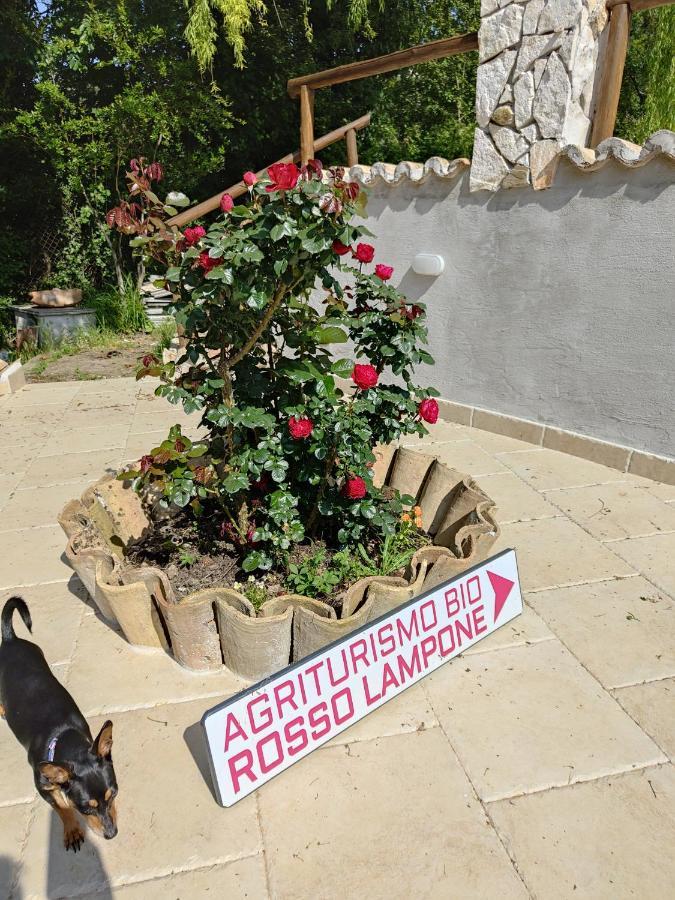 Agriturismo Rosso Lampone Cerreto Laziale Dış mekan fotoğraf